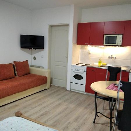 Apartman 4 - Studio Janja ソコバニャ エクステリア 写真