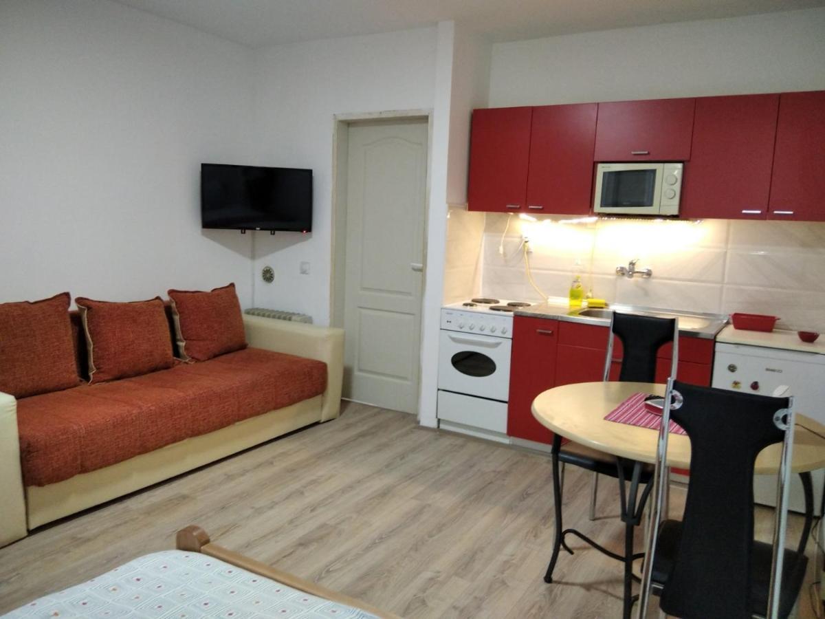 Apartman 4 - Studio Janja ソコバニャ エクステリア 写真